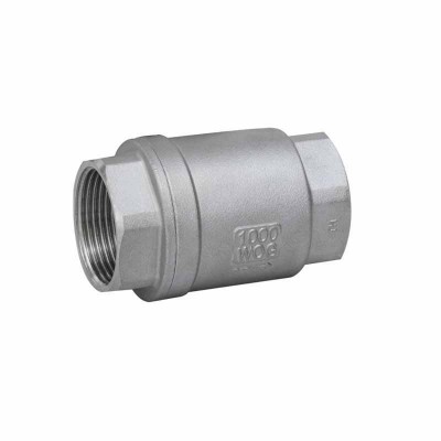 3/4" Stainless Steel 201 Spring Check Valve